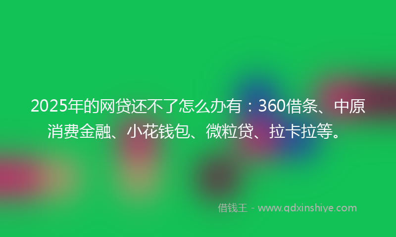 2025年的网贷还不了怎么办有：360借条、中原消费金融、小花钱包、微粒贷、拉卡拉等。