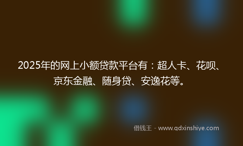 2025年的网上小额贷款平台有：超人卡、花呗、京东金融、随身贷、安逸花等。