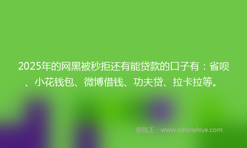 2025年的网黑被秒拒还有能贷款的口子有：省呗、小花钱包、微博借钱、功夫贷、拉卡拉等。