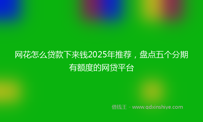 网花怎么贷款下来钱2025年推荐，盘点五个分期有额度的网贷平台