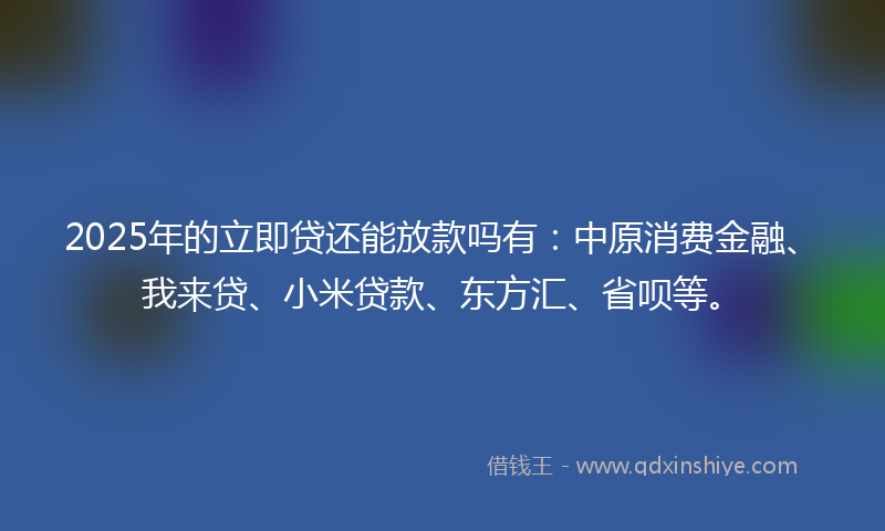 2025年的立即贷还能放款吗有：中原消费金融、我来贷、小米贷款、东方汇、省呗等。