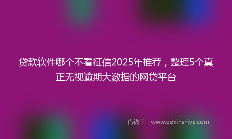 贷款软件哪个不看征信2025年推荐，整理5个真正无视逾期大数据的网贷平台
