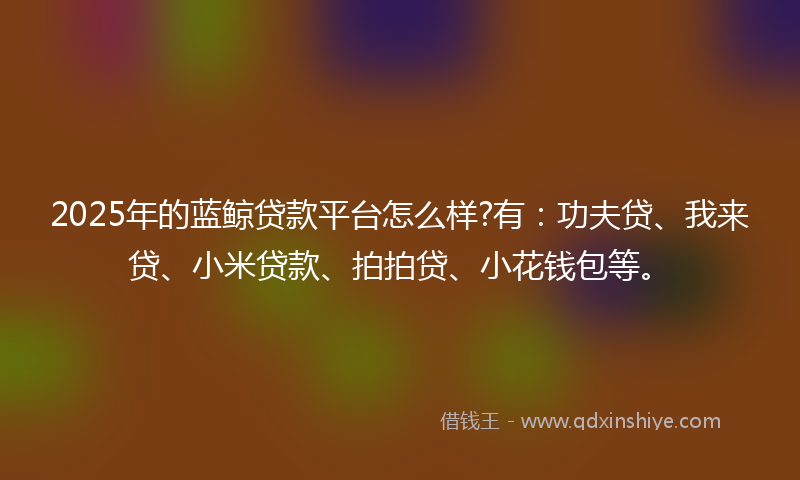 2025年的蓝鲸贷款平台怎么样?有：功夫贷、我来贷、小米贷款、拍拍贷、小花钱包等。