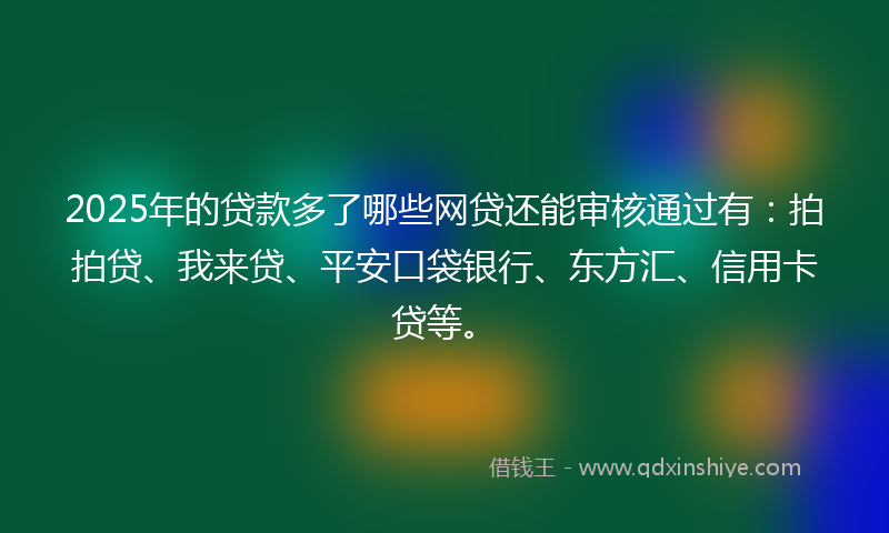 2025年的贷款多了哪些网贷还能审核通过有：拍拍贷、我来贷、平安口袋银行、东方汇、信用卡贷等。