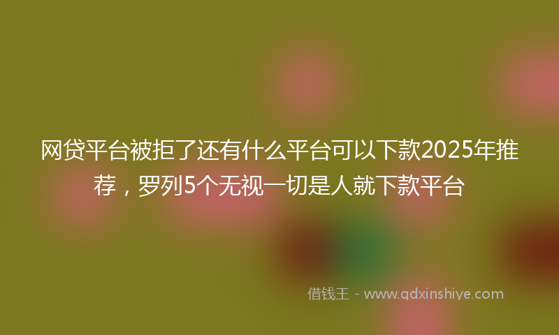 网贷平台被拒了还有什么平台可以下款2025年推荐，罗列5个无视一切是人就下款平台