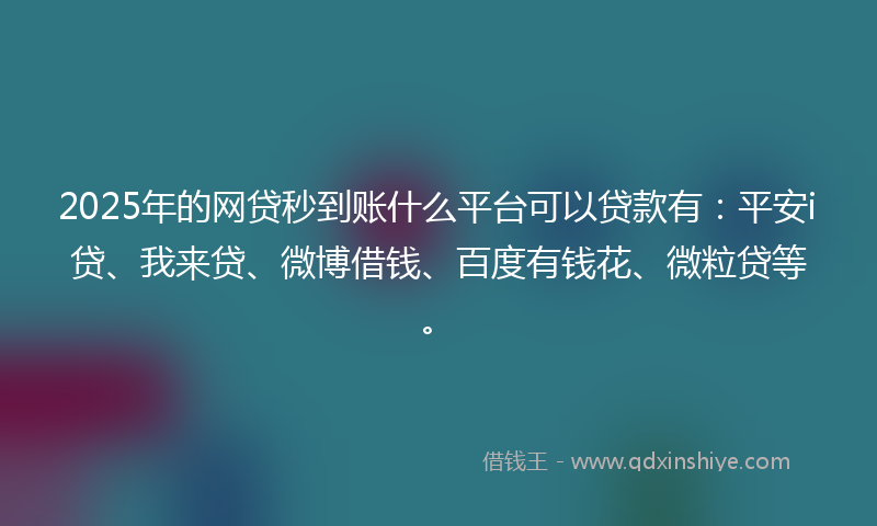2025年的网贷秒到账什么平台可以贷款有：平安i贷、我来贷、微博借钱、百度有钱花、微粒贷等。