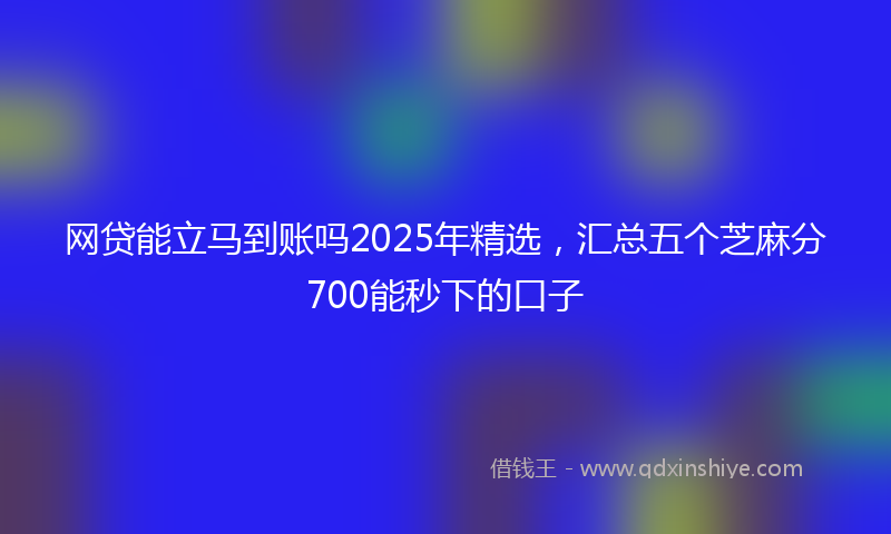 网贷能立马到账吗2025年精选，汇总五个芝麻分700能秒下的口子