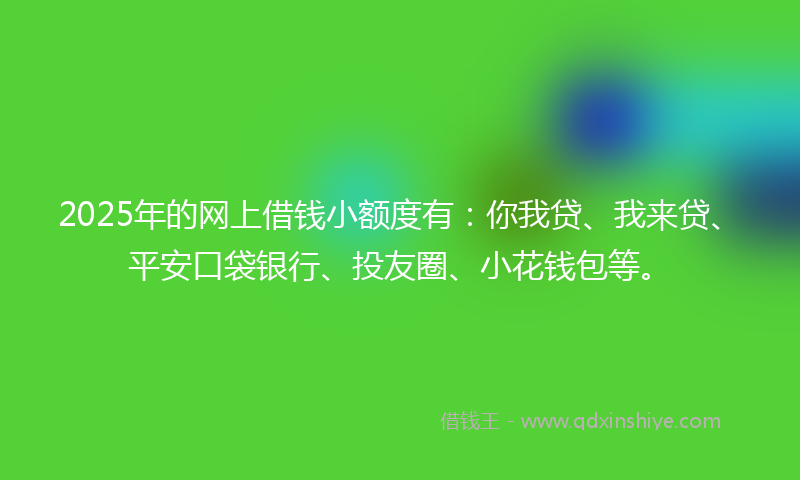 2025年的网上借钱小额度有：你我贷、我来贷、平安口袋银行、投友圈、小花钱包等。