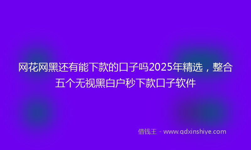 网花网黑还有能下款的口子吗2025年精选，整合五个无视黑白户秒下款口子软件