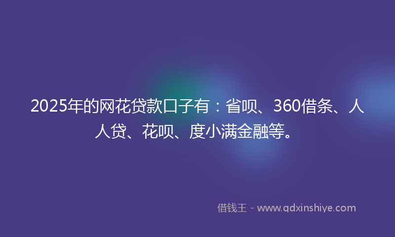 2025年的网花贷款口子有：省呗、360借条、人人贷、花呗、度小满金融等。