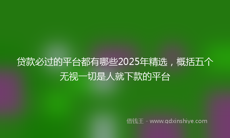 贷款必过的平台都有哪些2025年精选，概括五个无视一切是人就下款的平台