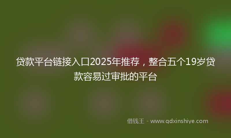 贷款平台链接入口2025年推荐，整合五个19岁贷款容易过审批的平台