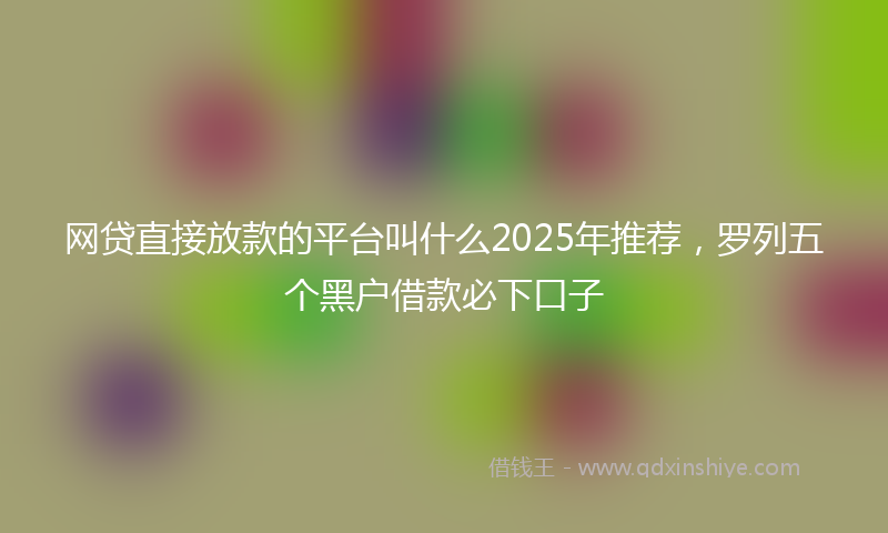 网贷直接放款的平台叫什么2025年推荐，罗列五个黑户借款必下口子