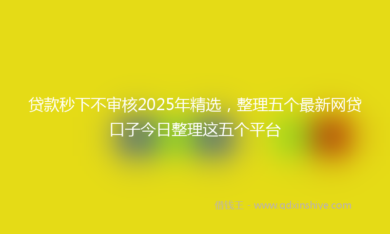 贷款秒下不审核2025年精选，整理五个最新网贷口子今日整理这五个平台