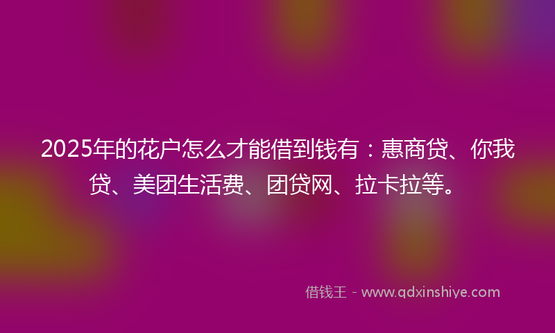 2025年的花户怎么才能借到钱有:惠商贷、你我贷、美团生活费、团贷网、拉卡拉等。