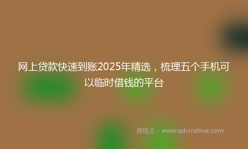 网上贷款快速到账2025年精选，梳理五个手机可以临时借钱的平台