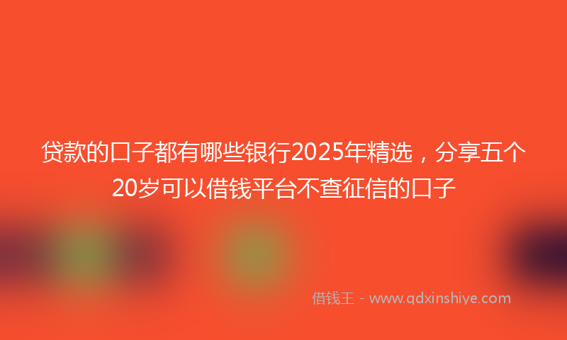 贷款的口子都有哪些银行2025年精选，分享五个20岁可以借钱平台不查征信的口子