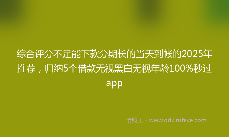综合评分不足能下款分期长的当天到帐的2025年推荐，归纳5个借款无视黑白无视年龄100%秒过app