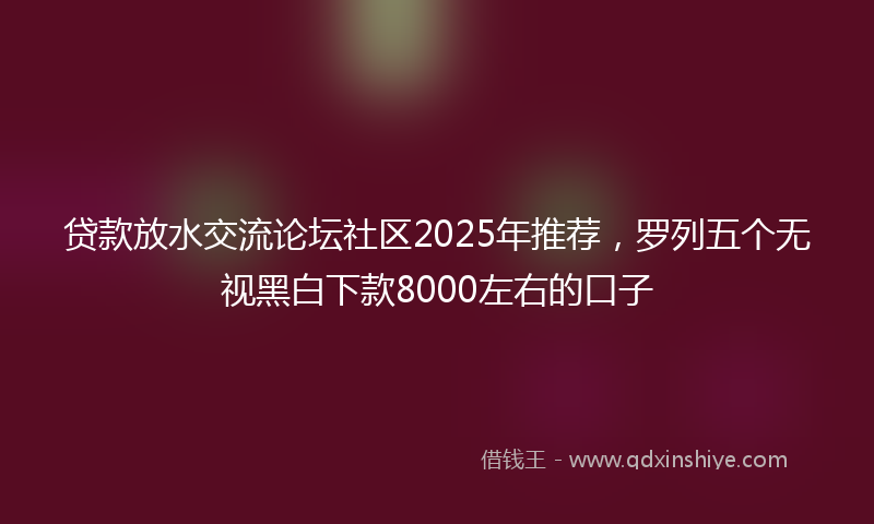 贷款放水交流论坛社区2025年推荐，罗列五个无视黑白下款8000左右的口子