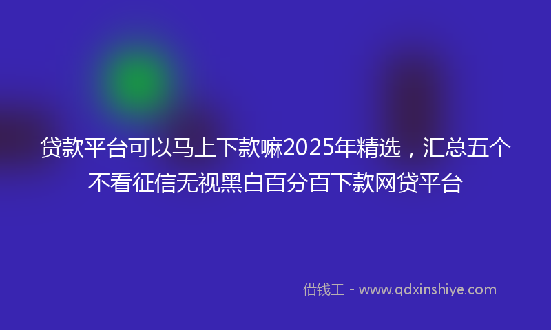 贷款平台可以马上下款嘛2025年精选，汇总五个不看征信无视黑白百分百下款网贷平台