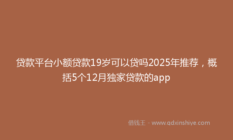 贷款平台小额贷款19岁可以贷吗2025年推荐，概括5个12月独家贷款的app