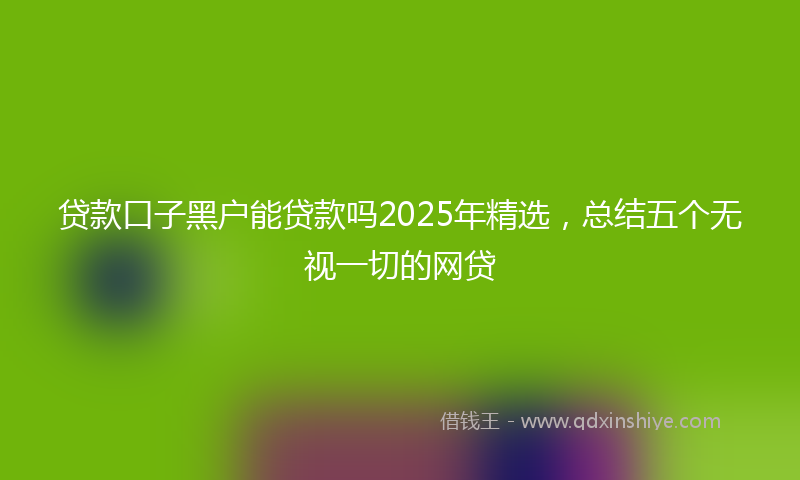 贷款口子黑户能贷款吗2025年精选，总结五个无视一切的网贷