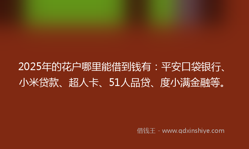 2025年的花户哪里能借到钱有：平安口袋银行、小米贷款、超人卡、51人品贷、度小满金融等。