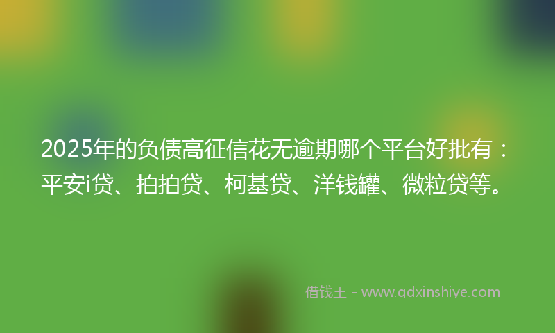 2025年的负债高征信花无逾期哪个平台好批有：平安i贷、拍拍贷、柯基贷、洋钱罐、微粒贷等。