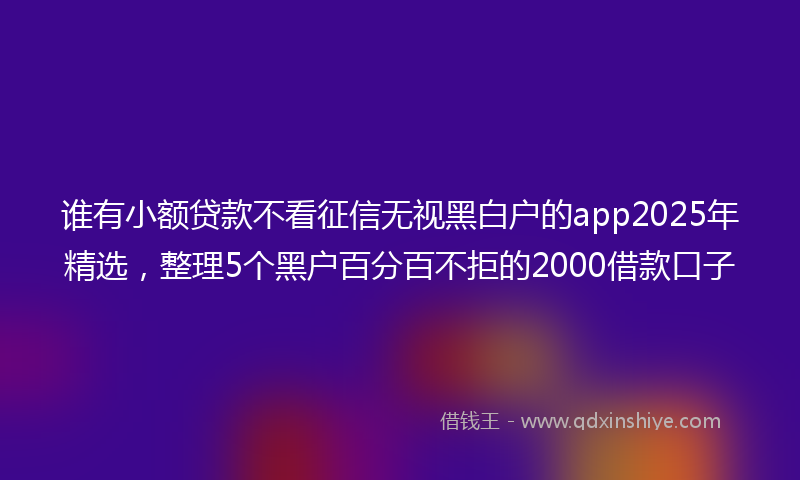 谁有小额贷款不看征信无视黑白户的app2025年精选，整理5个黑户百分百不拒的2000借款口子