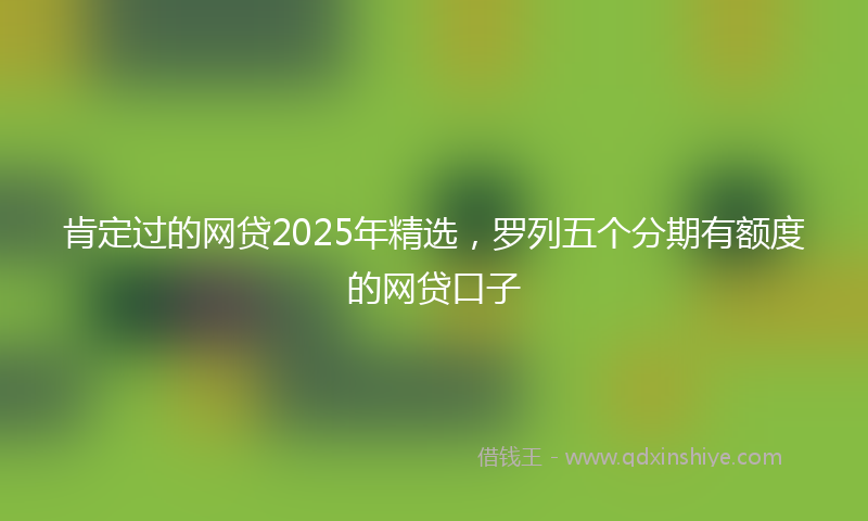 肯定过的网贷2025年精选，罗列五个分期有额度的网贷口子
