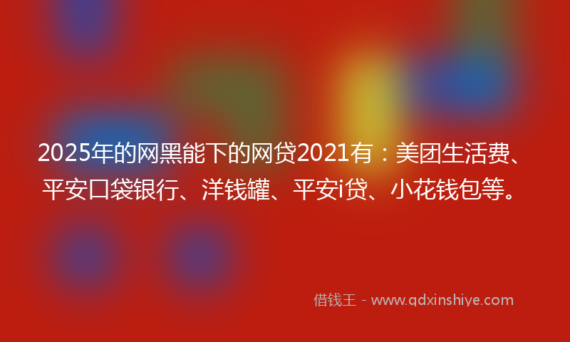2025年的网黑能下的网贷2021有：美团生活费、平安口袋银行、洋钱罐、平安i贷、小花钱包等。