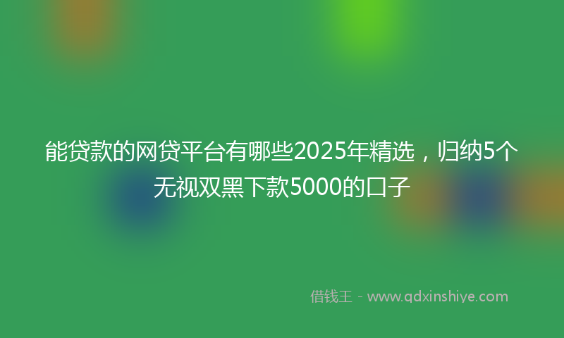 能贷款的网贷平台有哪些2025年精选，归纳5个无视双黑下款5000的口子