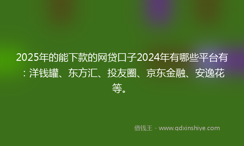 2025年的能下款的网贷口子2024年有哪些平台有：洋钱罐、东方汇、投友圈、京东金融、安逸花等。