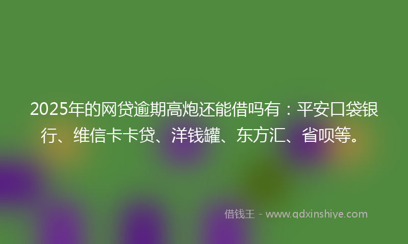 2025年的网贷逾期高炮还能借吗有：平安口袋银行、维信卡卡贷、洋钱罐、东方汇、省呗等。