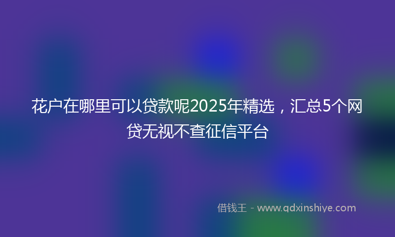 花户在哪里可以贷款呢2025年精选，汇总5个网贷无视不查征信平台