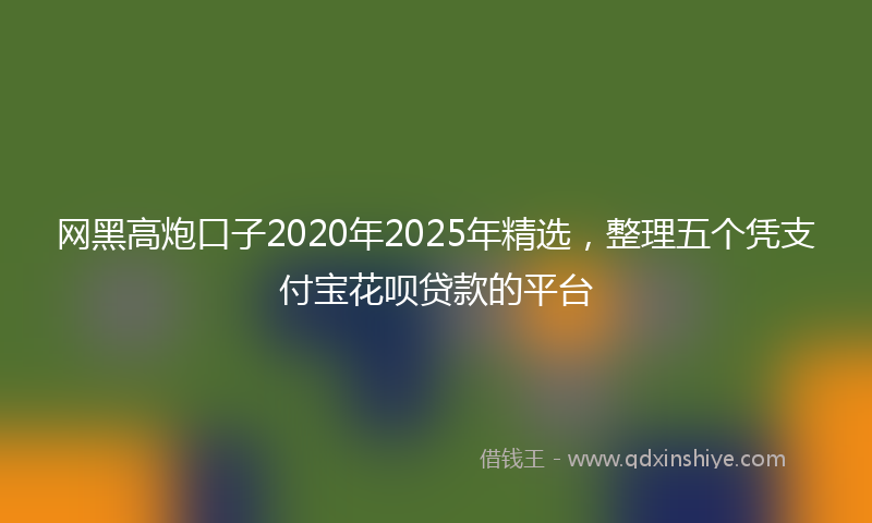 网黑高炮口子2020年2025年精选，整理五个凭支付宝花呗贷款的平台