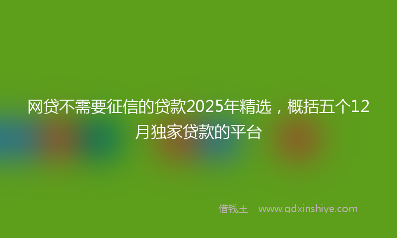 网贷不需要征信的贷款2025年精选，概括五个12月独家贷款的平台