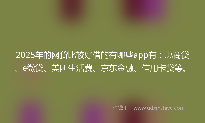 2025年的网贷比较好借的有哪些app有：惠商贷、e微贷、美团生活费、京东金融、信用卡贷等。