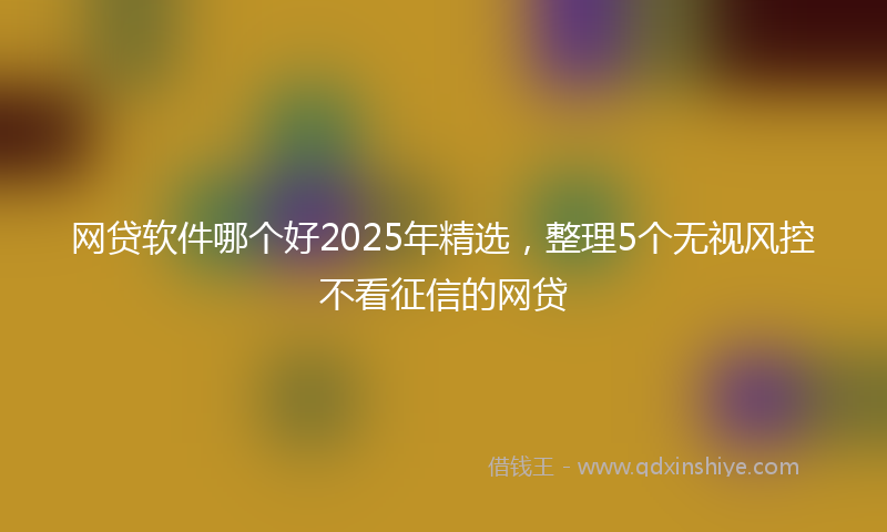 网贷软件哪个好2025年精选，整理5个无视风控不看征信的网贷