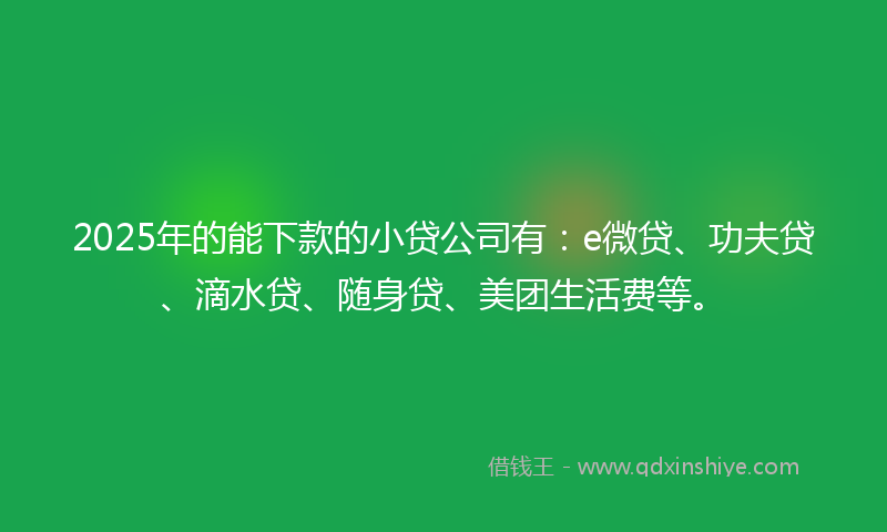 2025年的能下款的小贷公司有：e微贷、功夫贷、滴水贷、随身贷、美团生活费等。