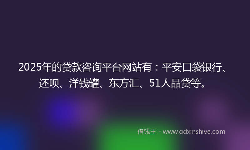 2025年的贷款咨询平台网站有：平安口袋银行、还呗、洋钱罐、东方汇、51人品贷等。