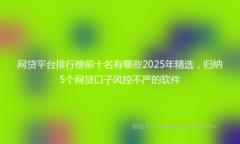网贷平台排行榜前十名有哪些2025年精选，归纳5个网贷口子风控不严的软件