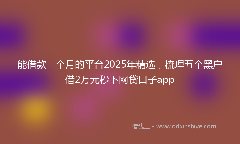 能借款一个月的平台2025年精选，梳理五个黑户借2万元秒下网贷口子app