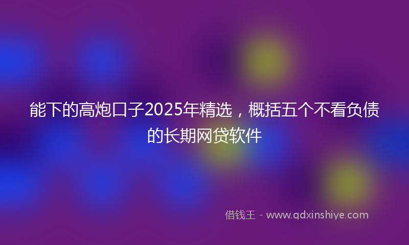 能下的高炮口子2025年精选，概括五个不看负债的长期网贷软件