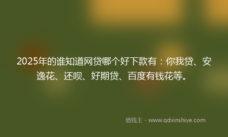 2025年的谁知道网贷哪个好下款有：你我贷、安逸花、还呗、好期贷、百度有钱花等。