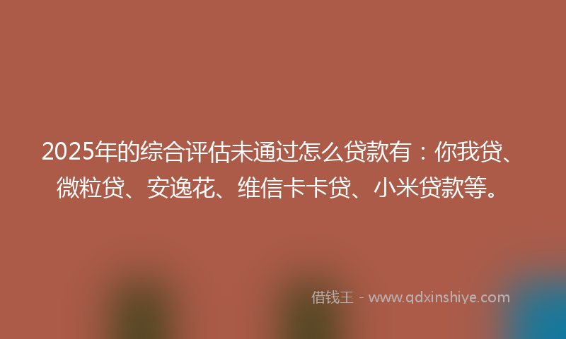 2025年的综合评估未通过怎么贷款有：你我贷、微粒贷、安逸花、维信卡卡贷、小米贷款等。