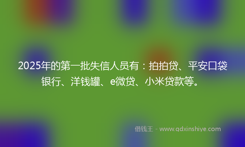 2025年的第一批失信人员有：拍拍贷、平安口袋银行、洋钱罐、e微贷、小米贷款等。