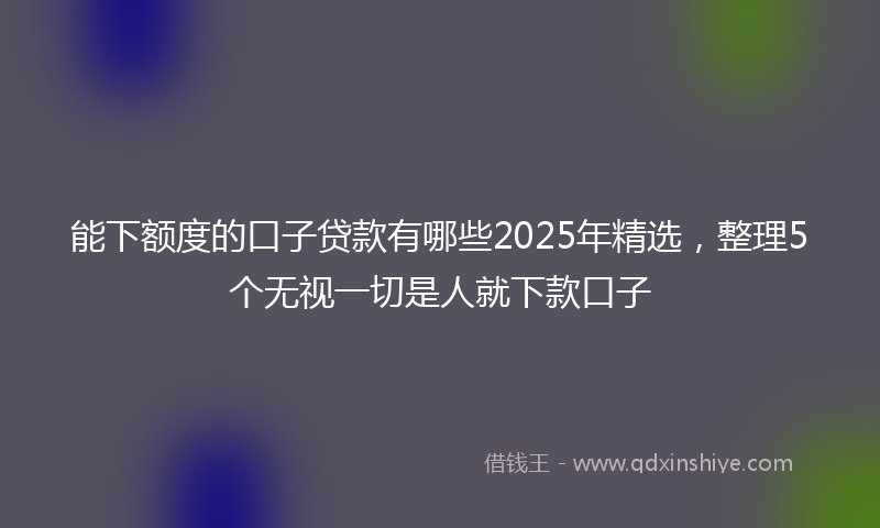 能下额度的口子贷款有哪些2025年精选，整理5个无视一切是人就下款口子