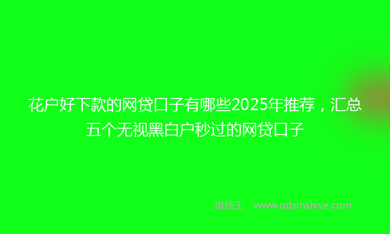 花户好下款的网贷口子有哪些2025年推荐，汇总五个无视黑白户秒过的网贷口子