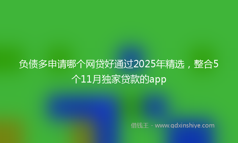负债多申请哪个网贷好通过2025年精选，整合5个11月独家贷款的app
